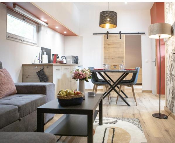 La Peniche De Fabrice Avec Jacuzzi Privatif Apartment Strasbourg Phòng bức ảnh